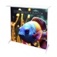 Look at picture&nbsp;1