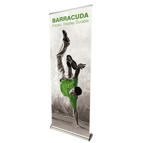 Barracuda - Afbeelding 3